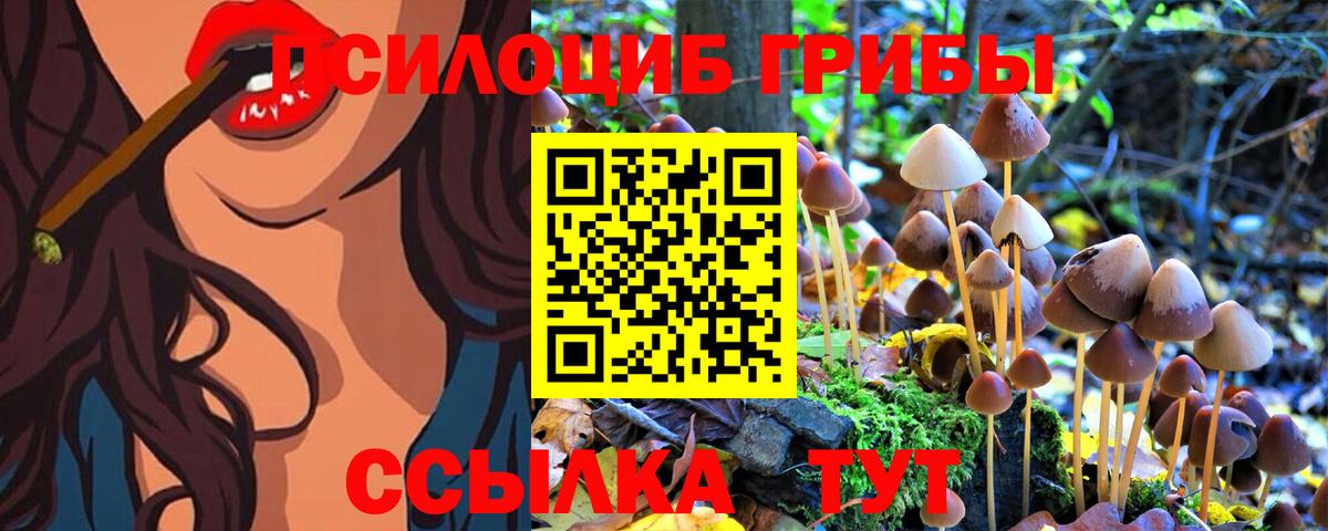 Псилоцибиновые грибы MAGIC MUSHROOMS  Вход с VPN  Майский 